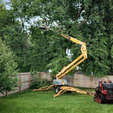 Landscape Design and Installation in Tara Hills, CA